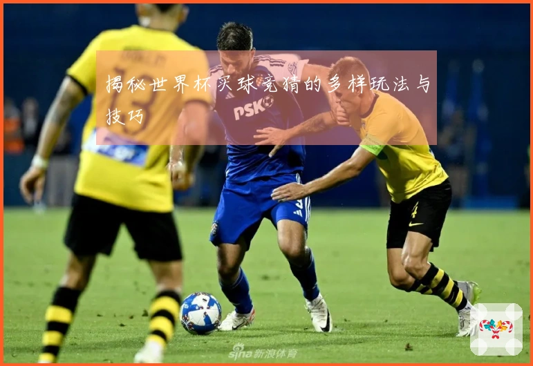 揭秘世界杯买球竞猜的多样玩法与技巧