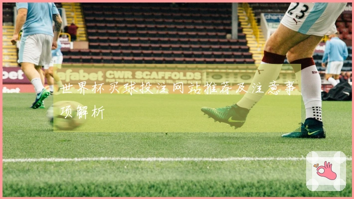 世界杯买球投注网站推荐及注意事项解析
