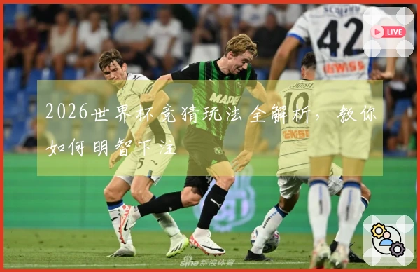 2026世界杯竞猜玩法全解析，教你如何明智下注